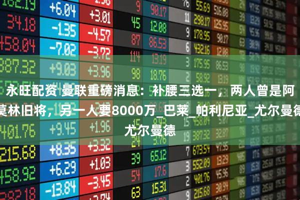 永旺配资 曼联重磅消息：补腰三选一，两人曾是阿莫林旧将，另一人要8000万_巴莱_帕利尼亚_尤尔曼德